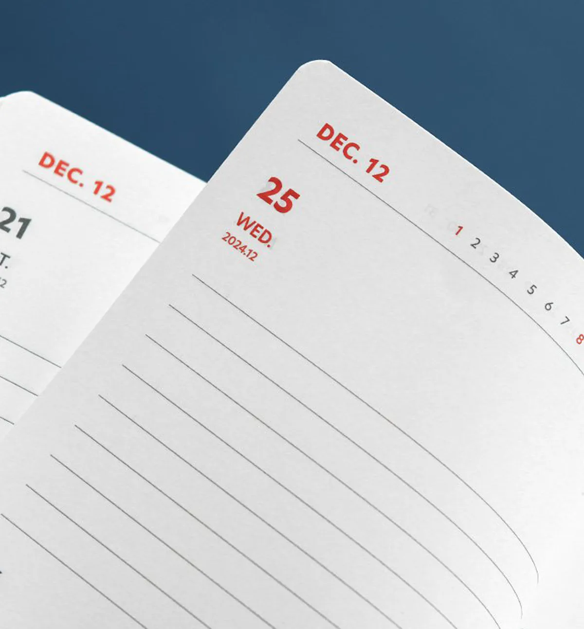 2025 Brilliant Daily Planner