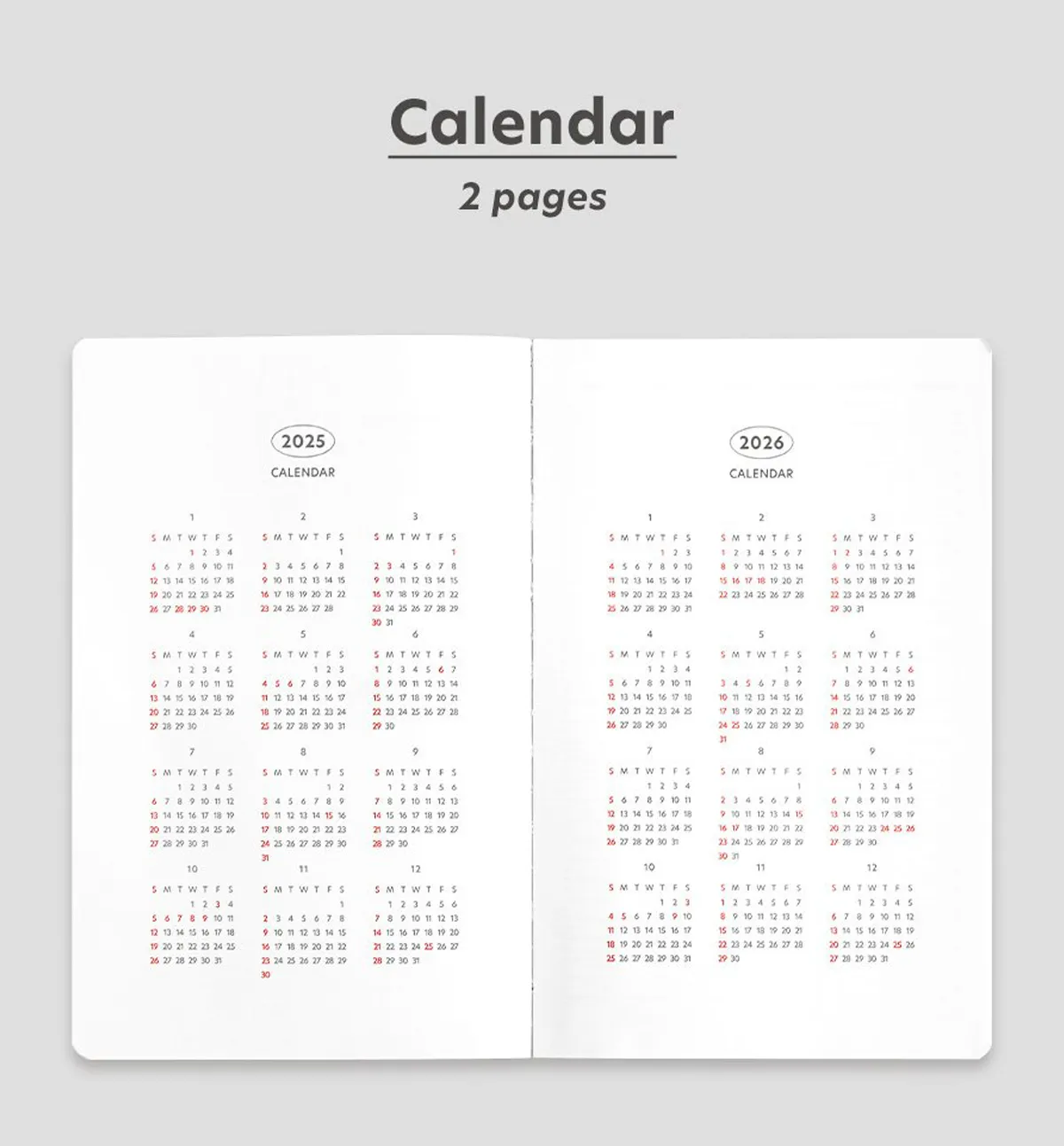 2025 Brilliant Daily Planner