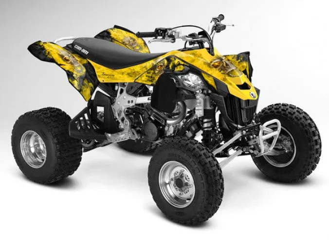 Can Am DS450 Graphics (Bombardier DS 450 Graphics) 2008-2016