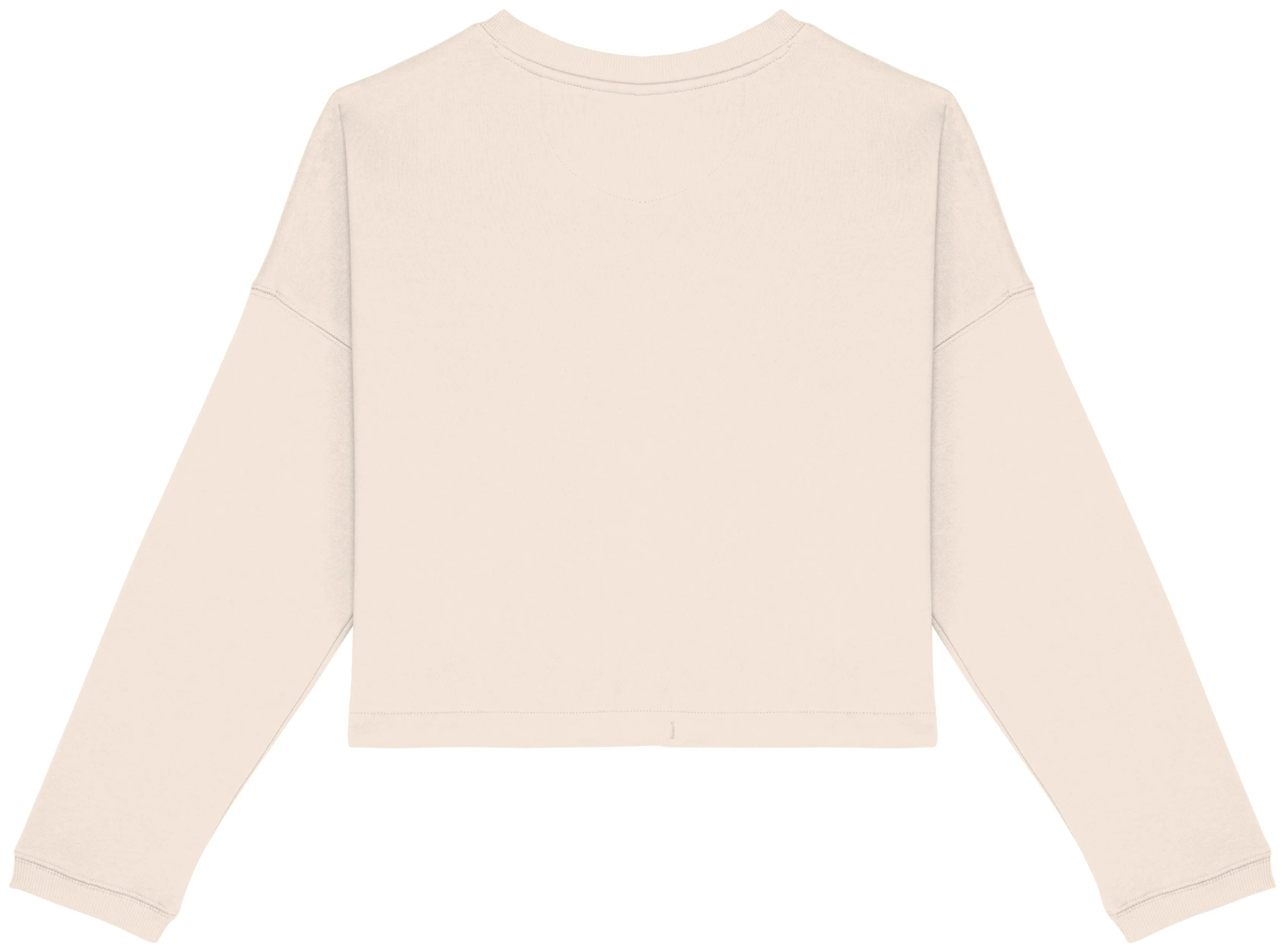 Ladies’ Crew Neck Sweatshirt - 280g - NS429