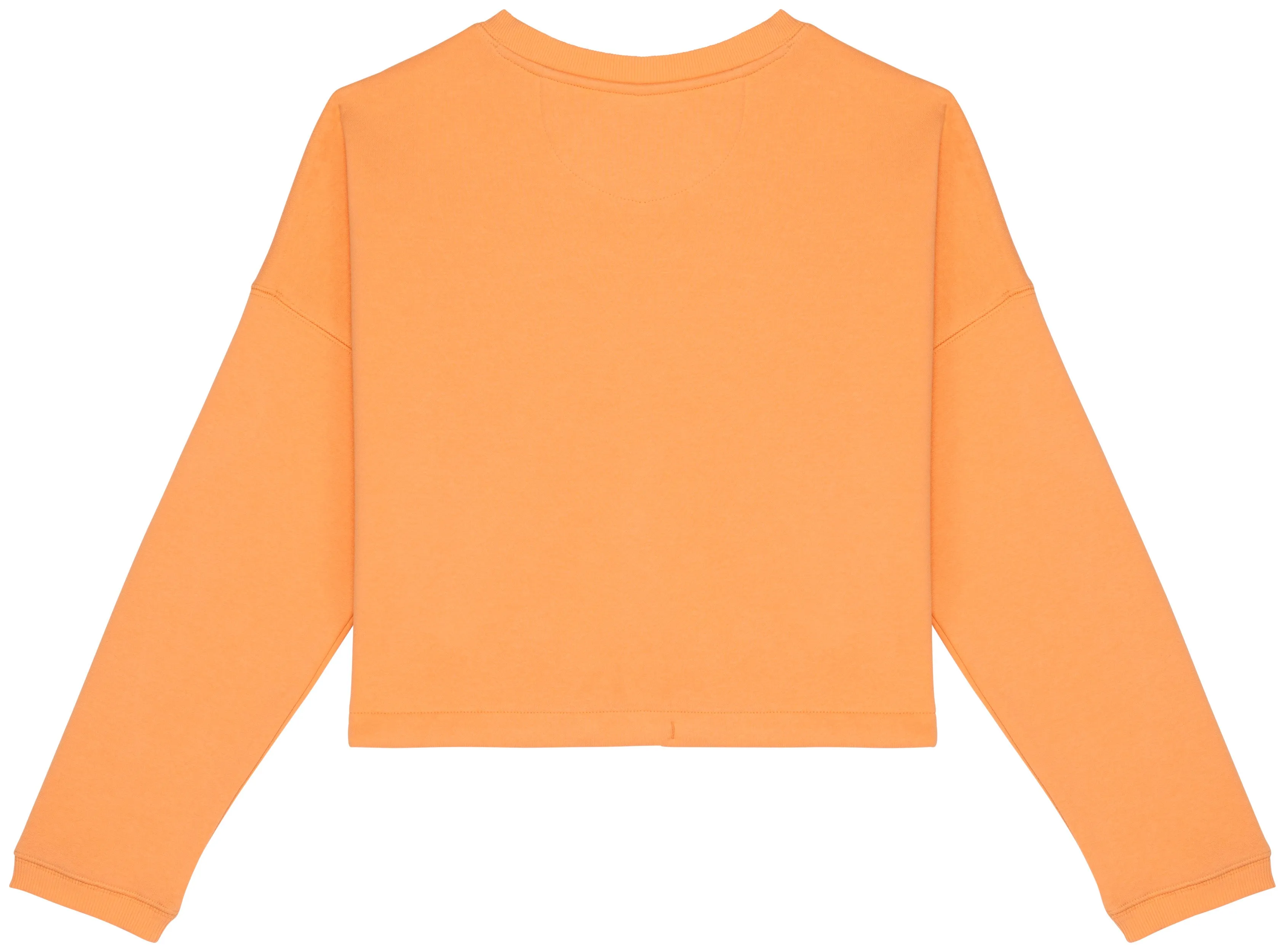 Ladies’ Crew Neck Sweatshirt - 280g - NS429