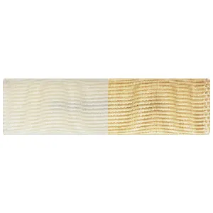 Ribbon Unit #3105