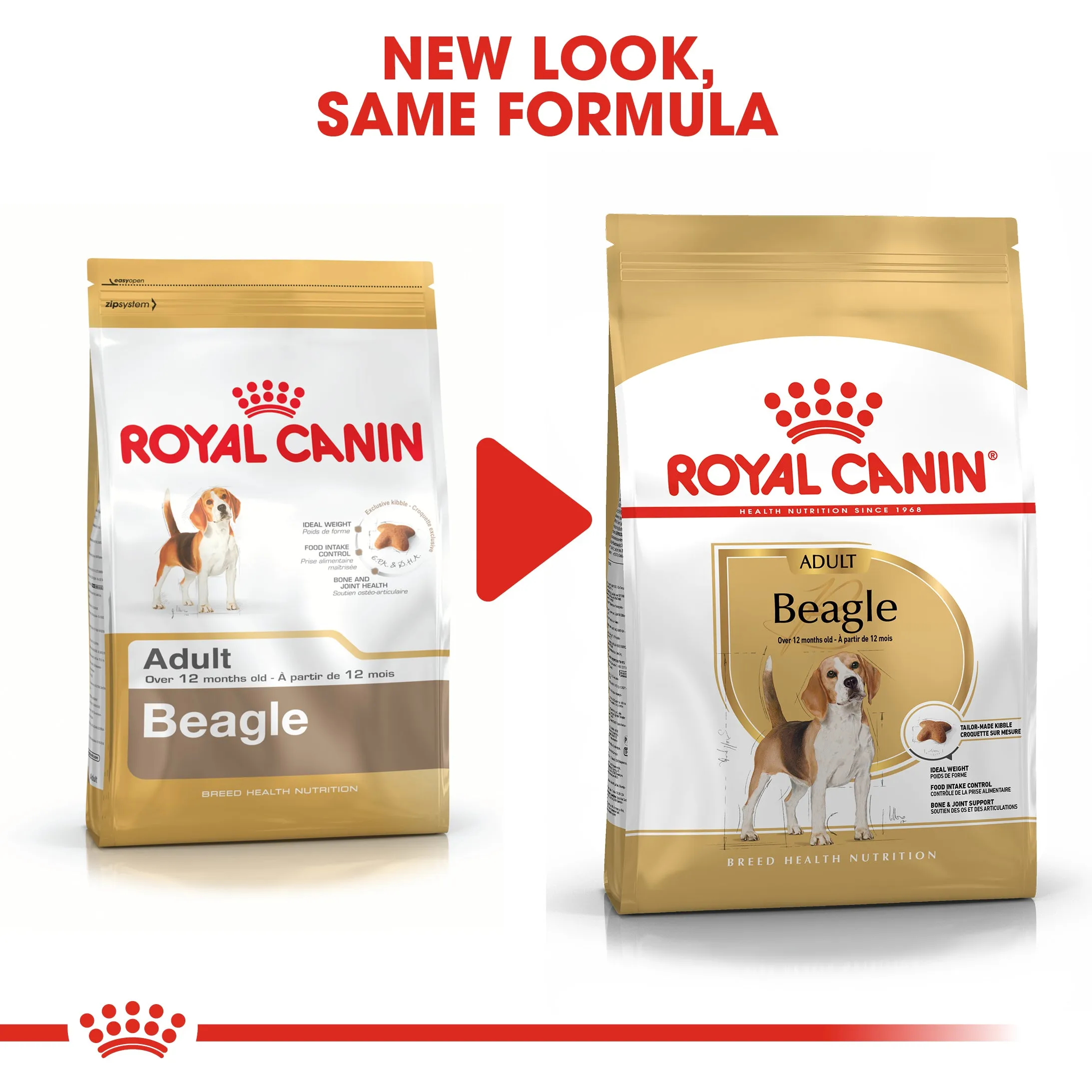 Royal Canin Beagle