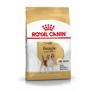 Royal Canin Beagle