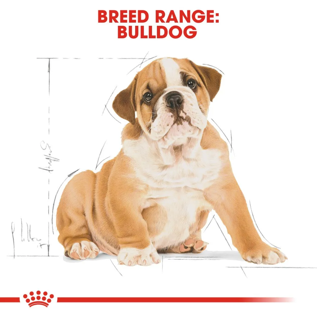 Royal Canin Bulldog Puppy 12kg