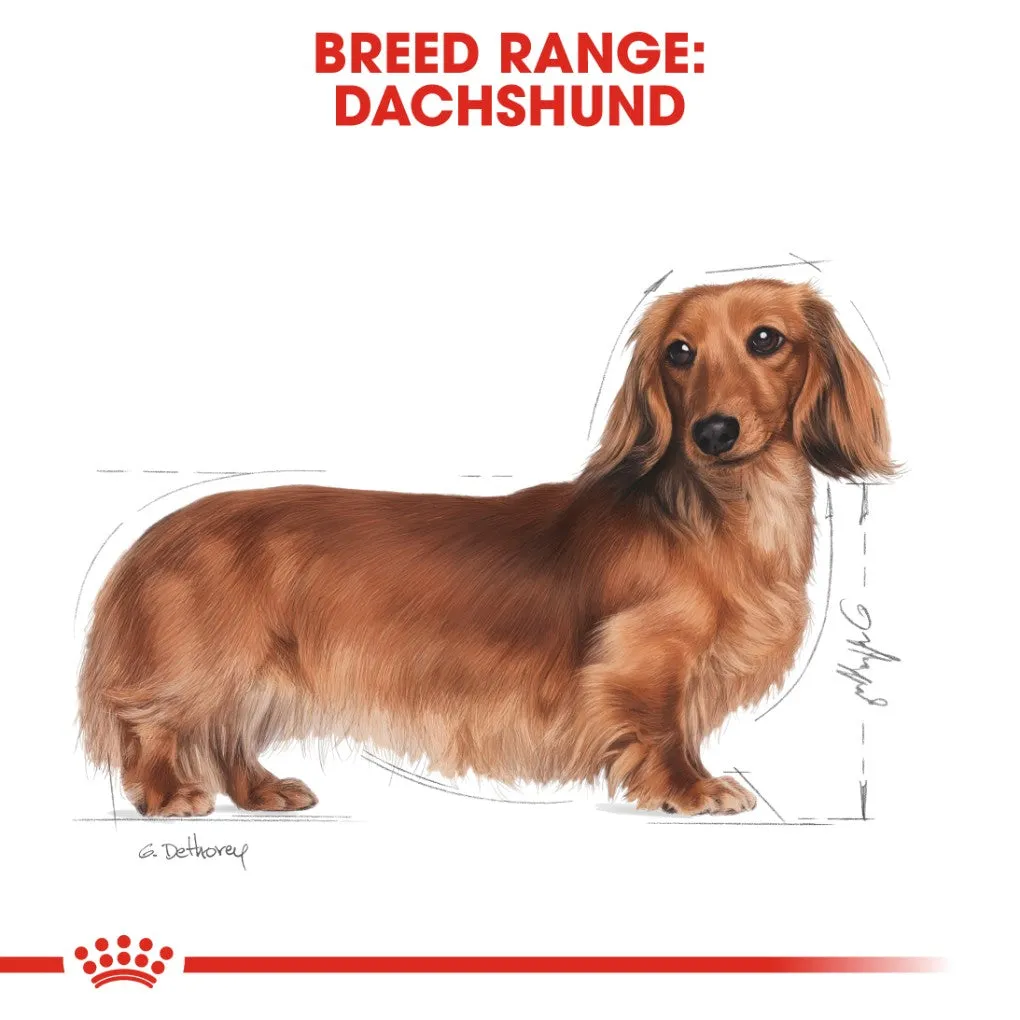 Royal Canin Dachshund Adult