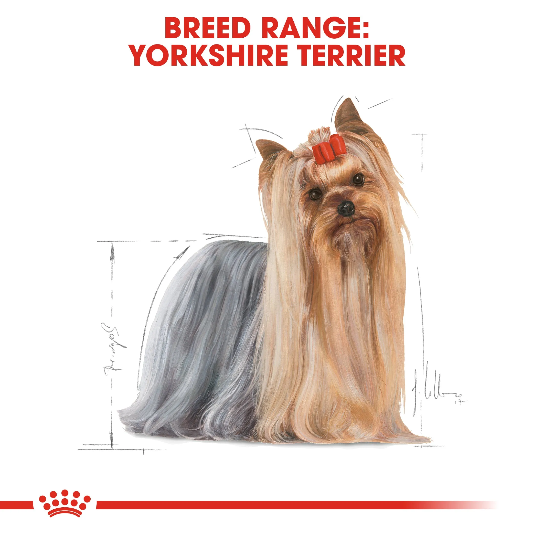 Royal Canin Dog Pouch - Yorkshire Terrier