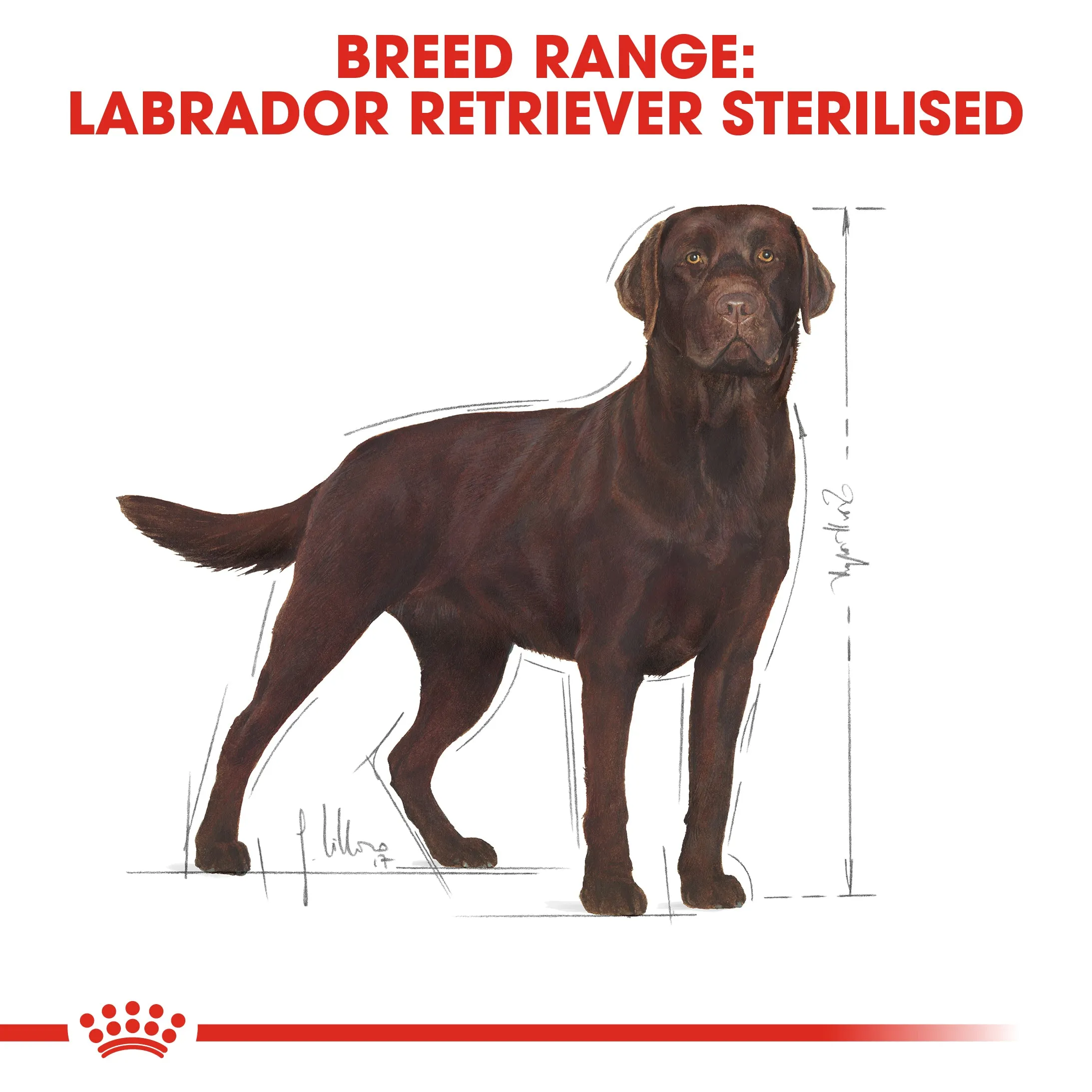 Royal Canin Labrador Retriever Sterilised 12kg