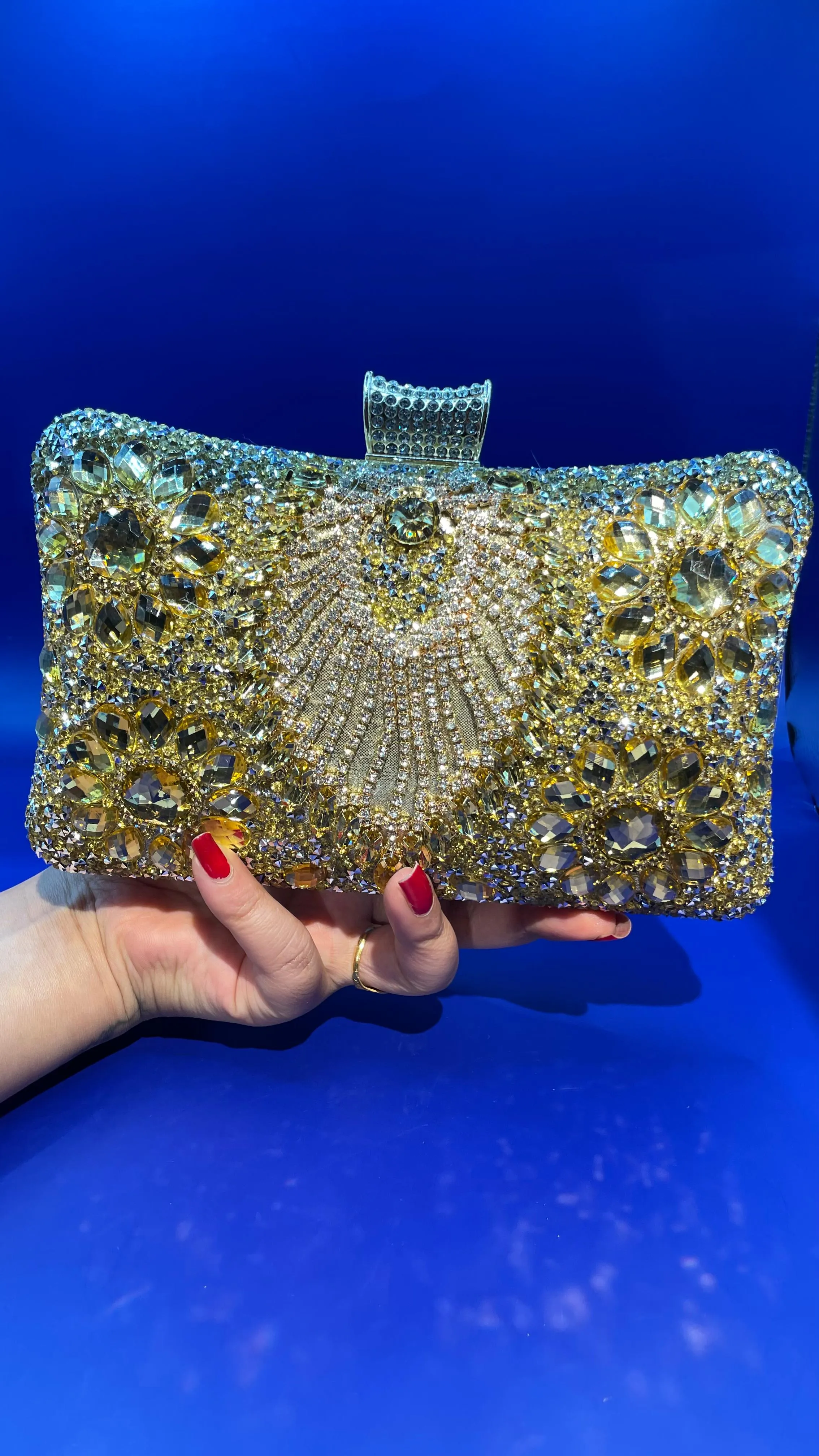 Zarina Rhinestone and Sequins Statement Clutch